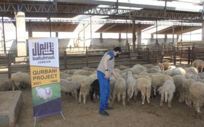 Jordanian Families Receive Fresh Meat for 10,080 Meals