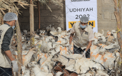 Fresh Meat for 22,860 Meals Distributed in Yemen