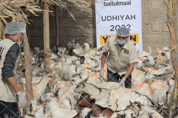Fresh Meat for 22,860 Meals Distributed in Yemen