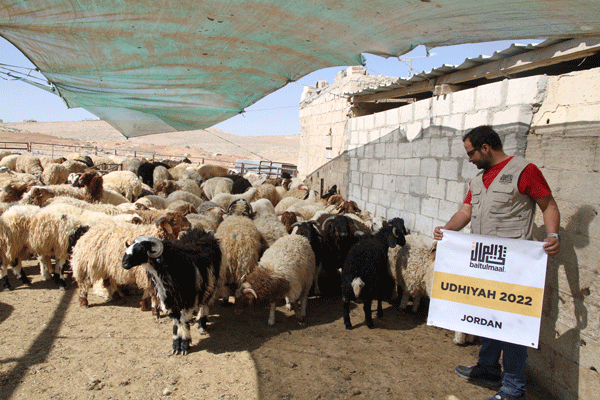 Fresh Meat for 2,400 Meals Distributed in Jordan