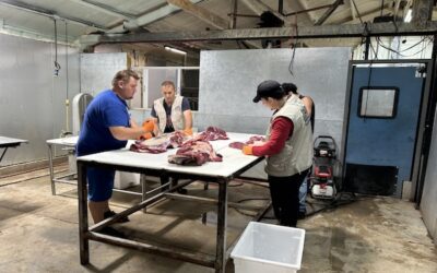 Baitulmaal Distributes Fresh Meat for 3K Meals Across the United States