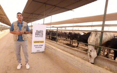 Baitulmaal Distributes Qurbani Meat for Over 25K Meals in Gaza