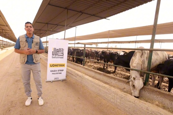 Baitulmaal Distributes Qurbani Meat for Over 25K Meals in Gaza